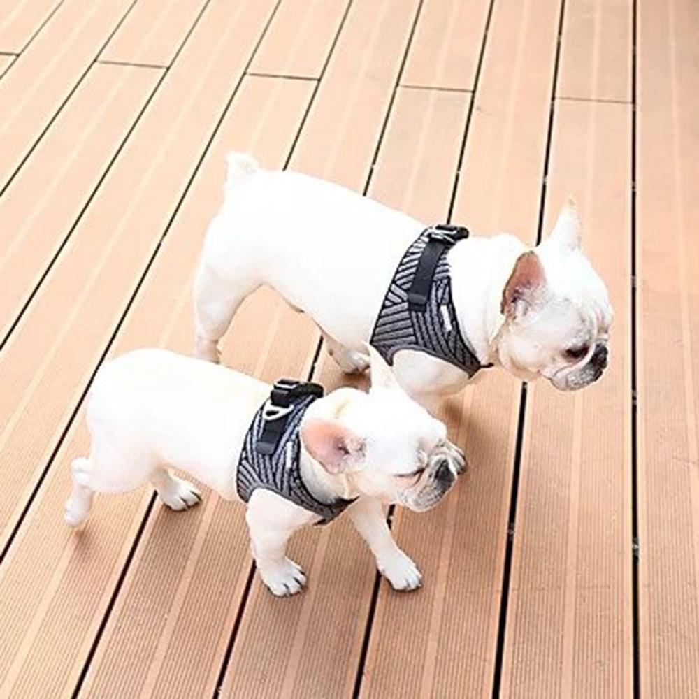 Air Fly Dog Harness