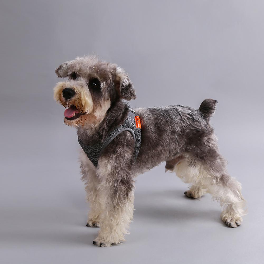 Air Pro Dog Harness