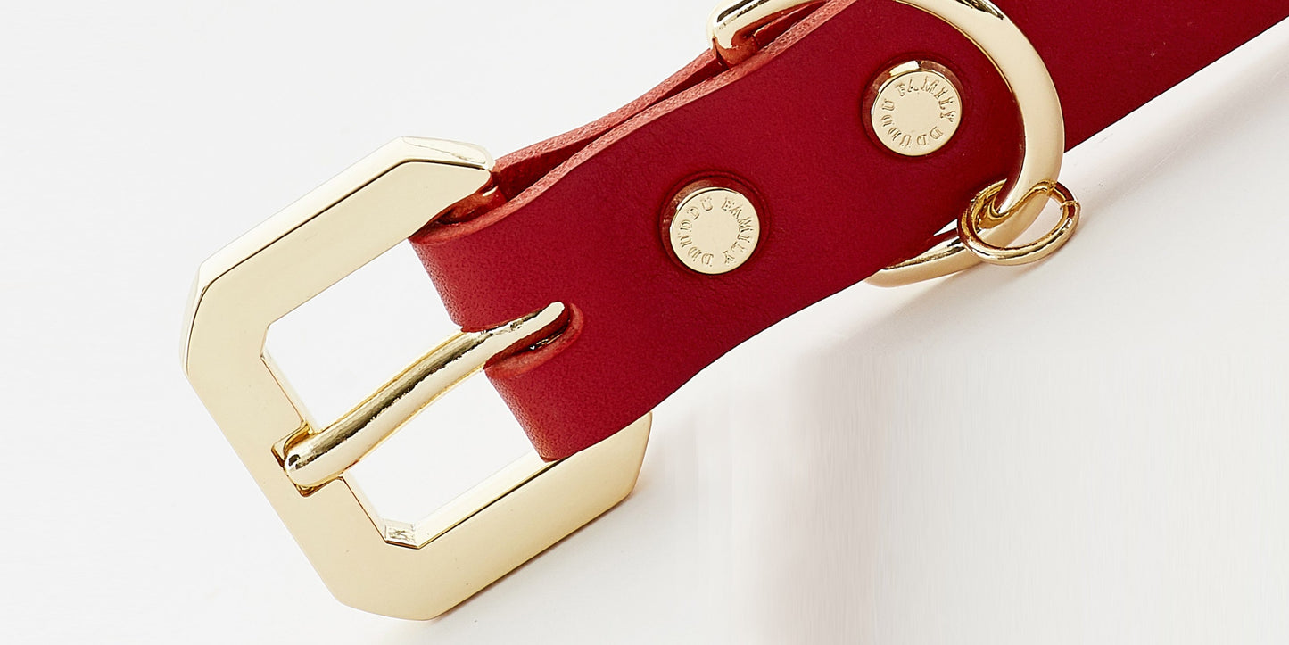 Golden Spike Red Dog Collar
