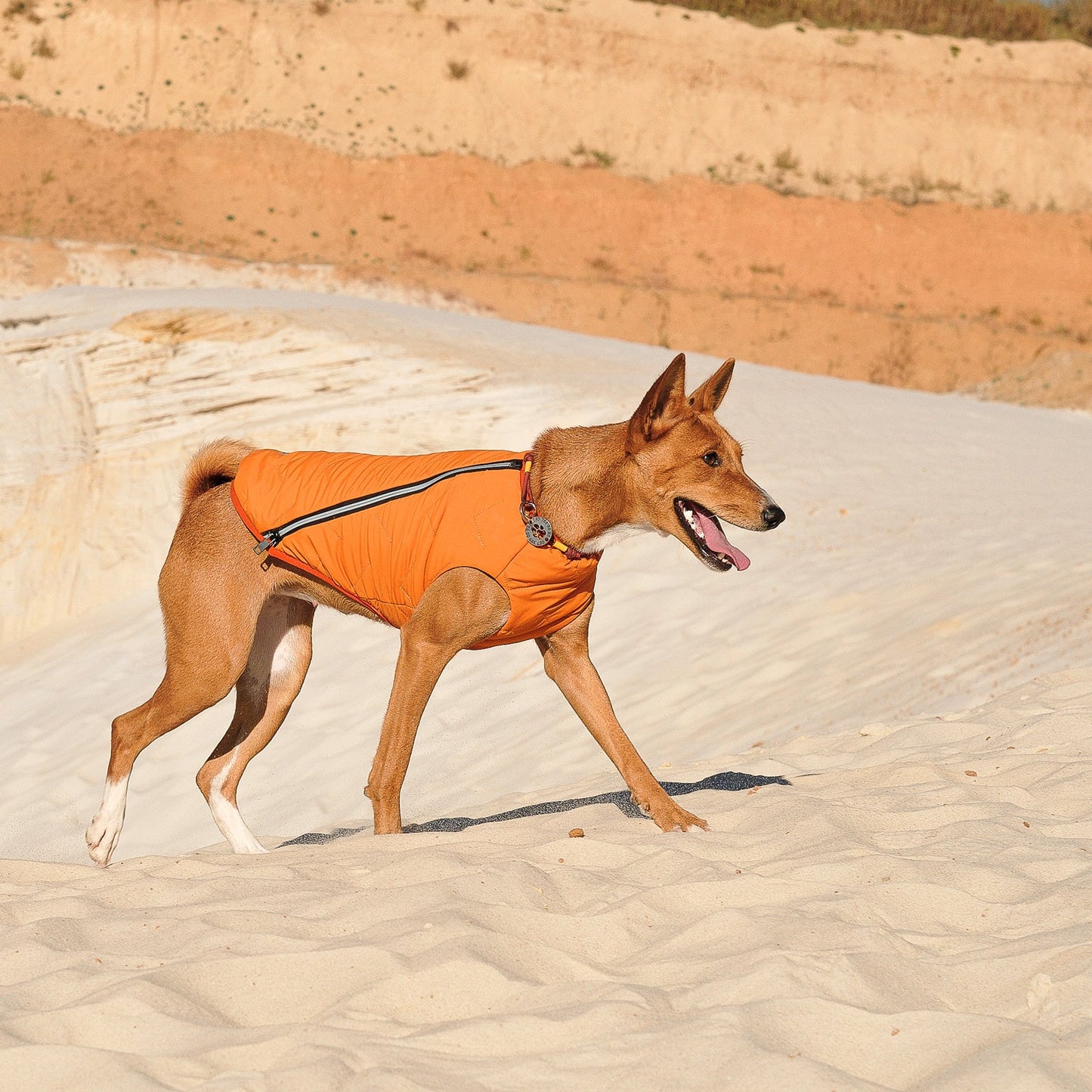 Eco Friendly Dog Jacket Vest