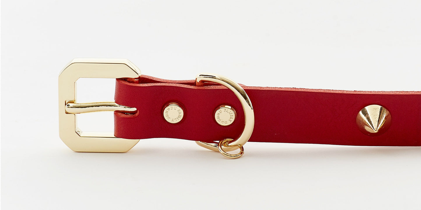 Golden Spike Red Dog Collar