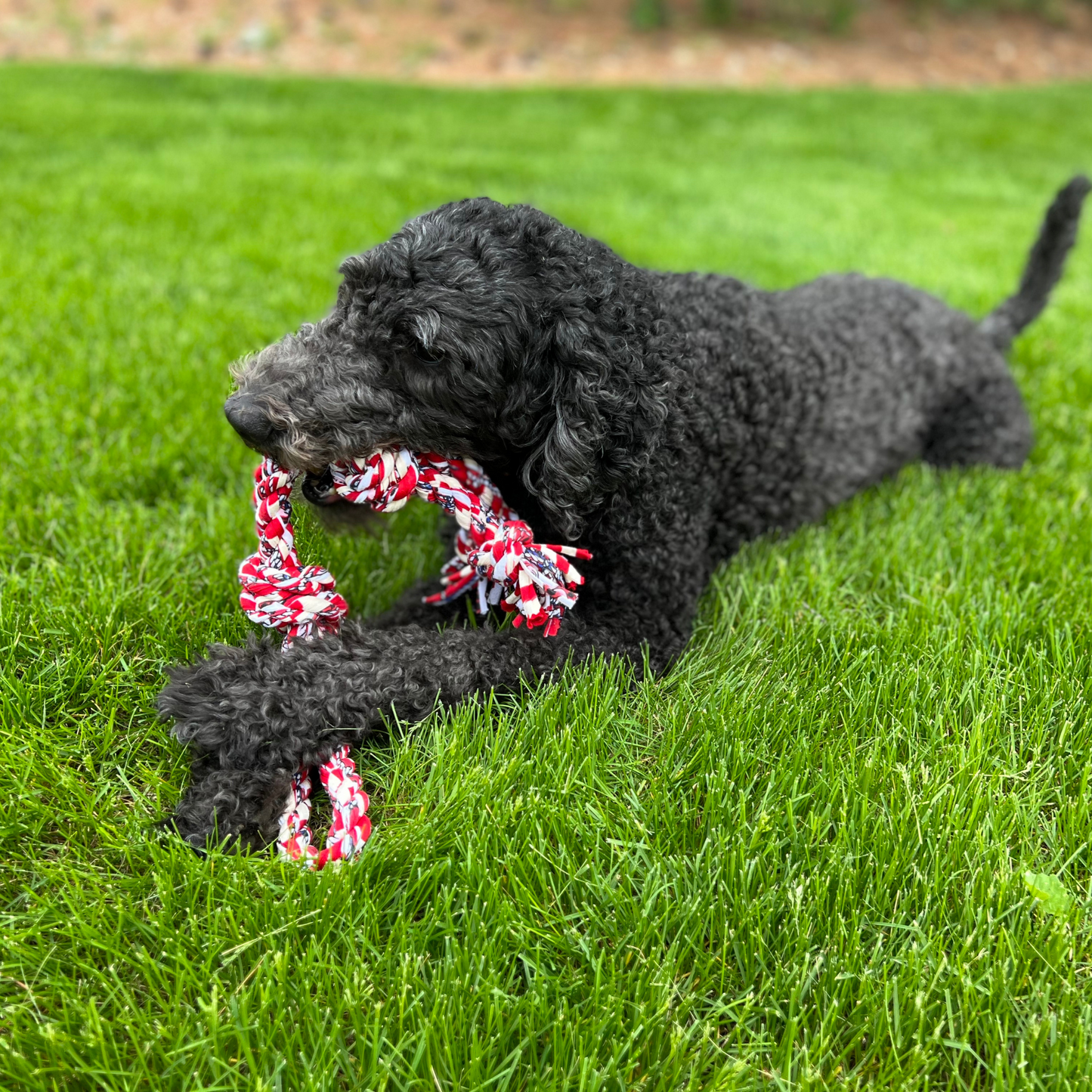 Looper Upcycled Fabric Rope Dog Toys