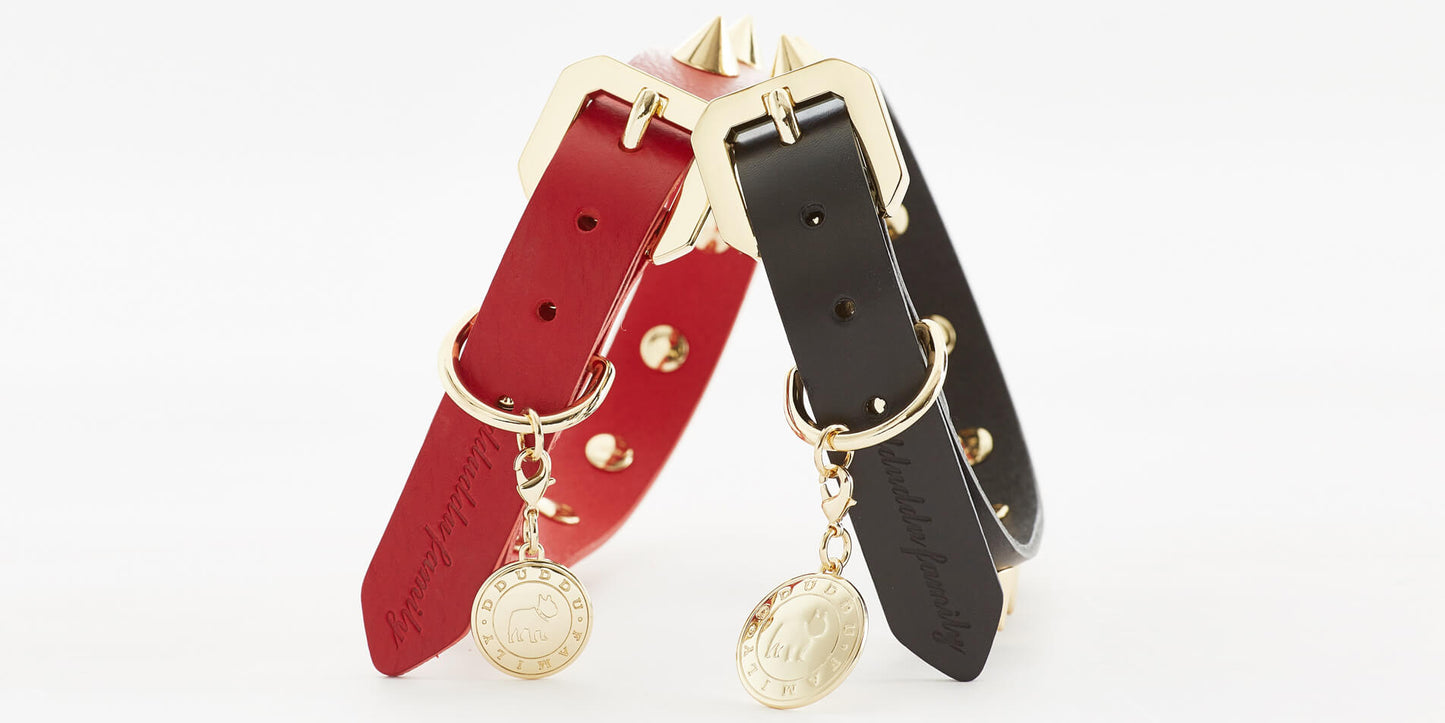 Golden Spike Red Dog Collar
