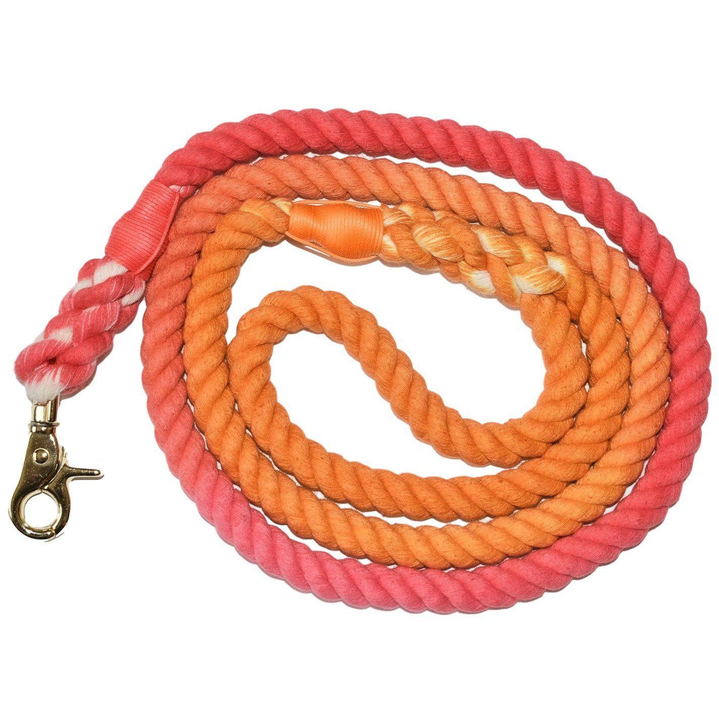 Sunkissed  Dog Leash