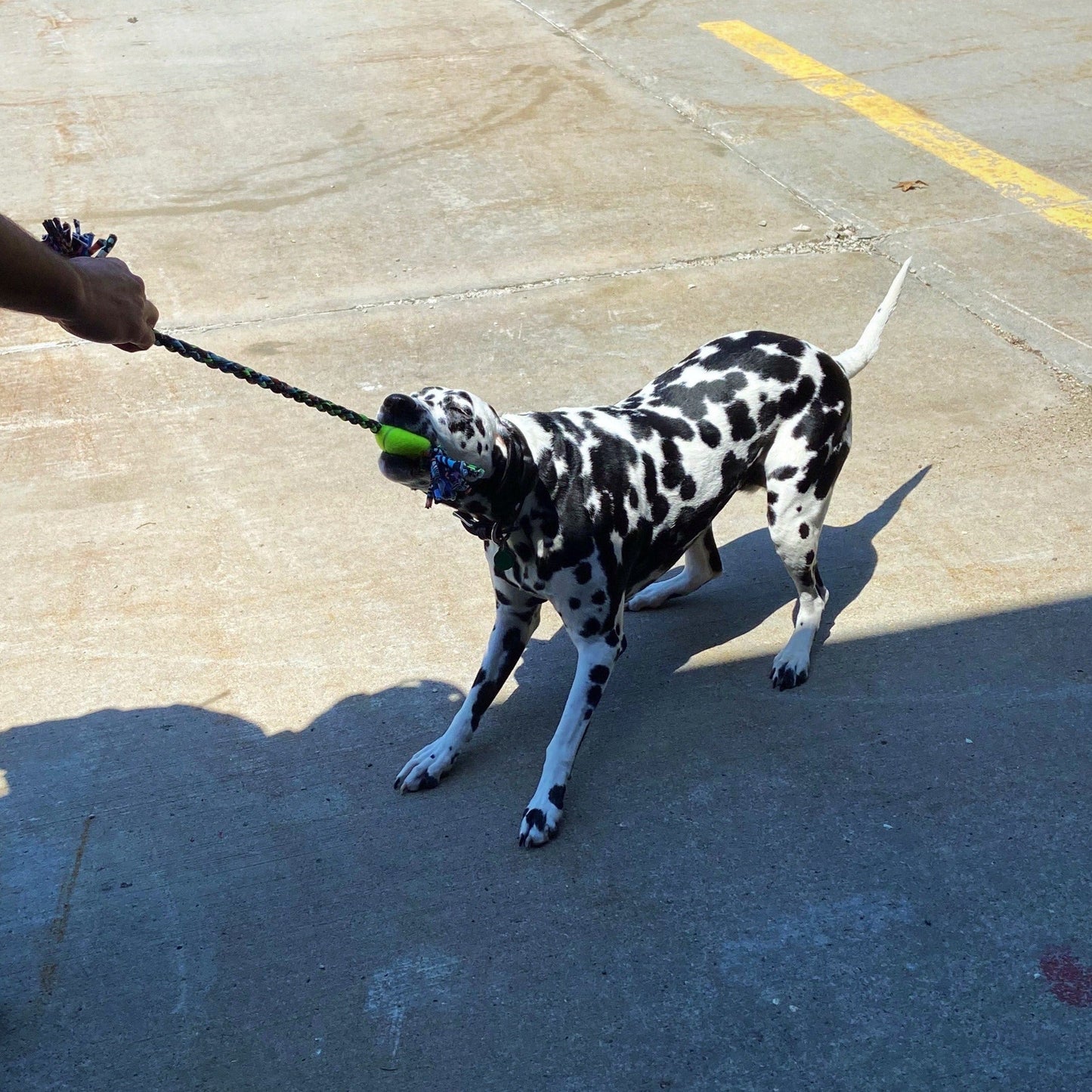 Looper Upcycled Fabric Rope Dog Toys