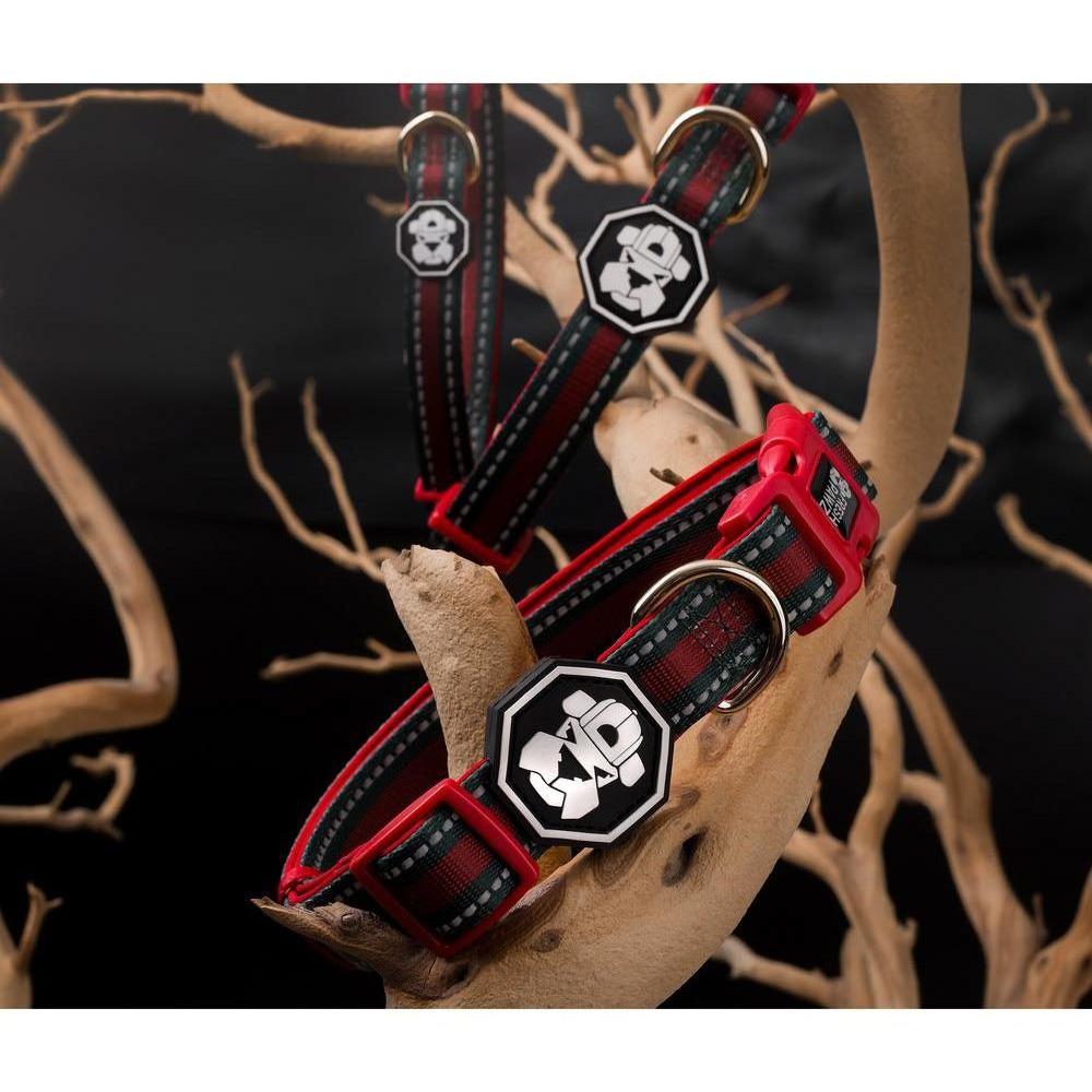 G-Stripe Dog Collar