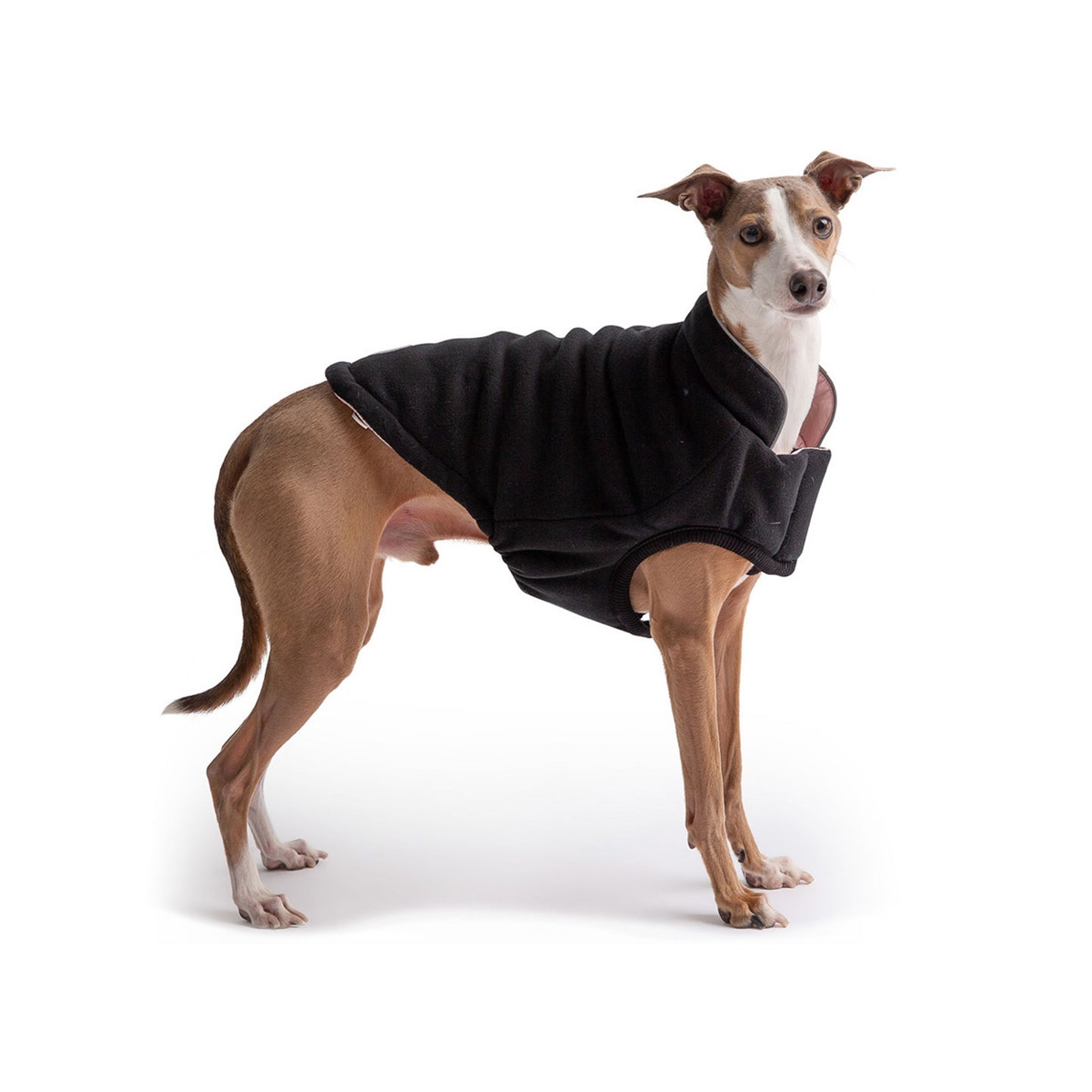 Reversible Chalet Dog Jacket