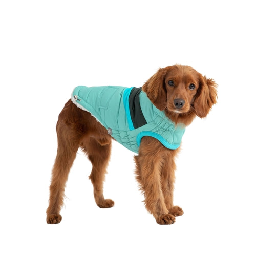 Alpine Puffer Dog Jacket