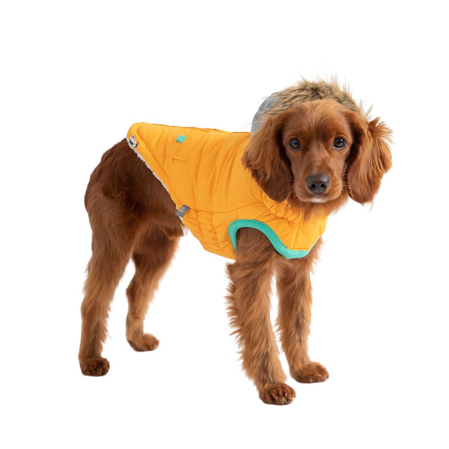 Winter Sailor Parka Dog Jacket