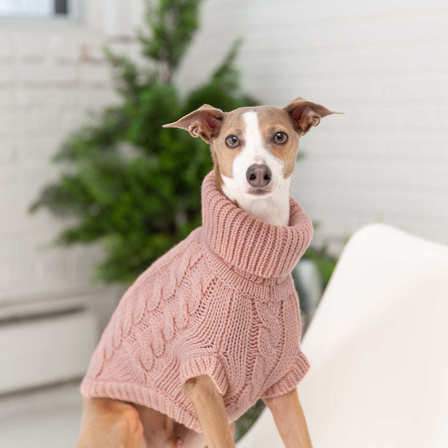 Chalet Dog Sweater Pink
