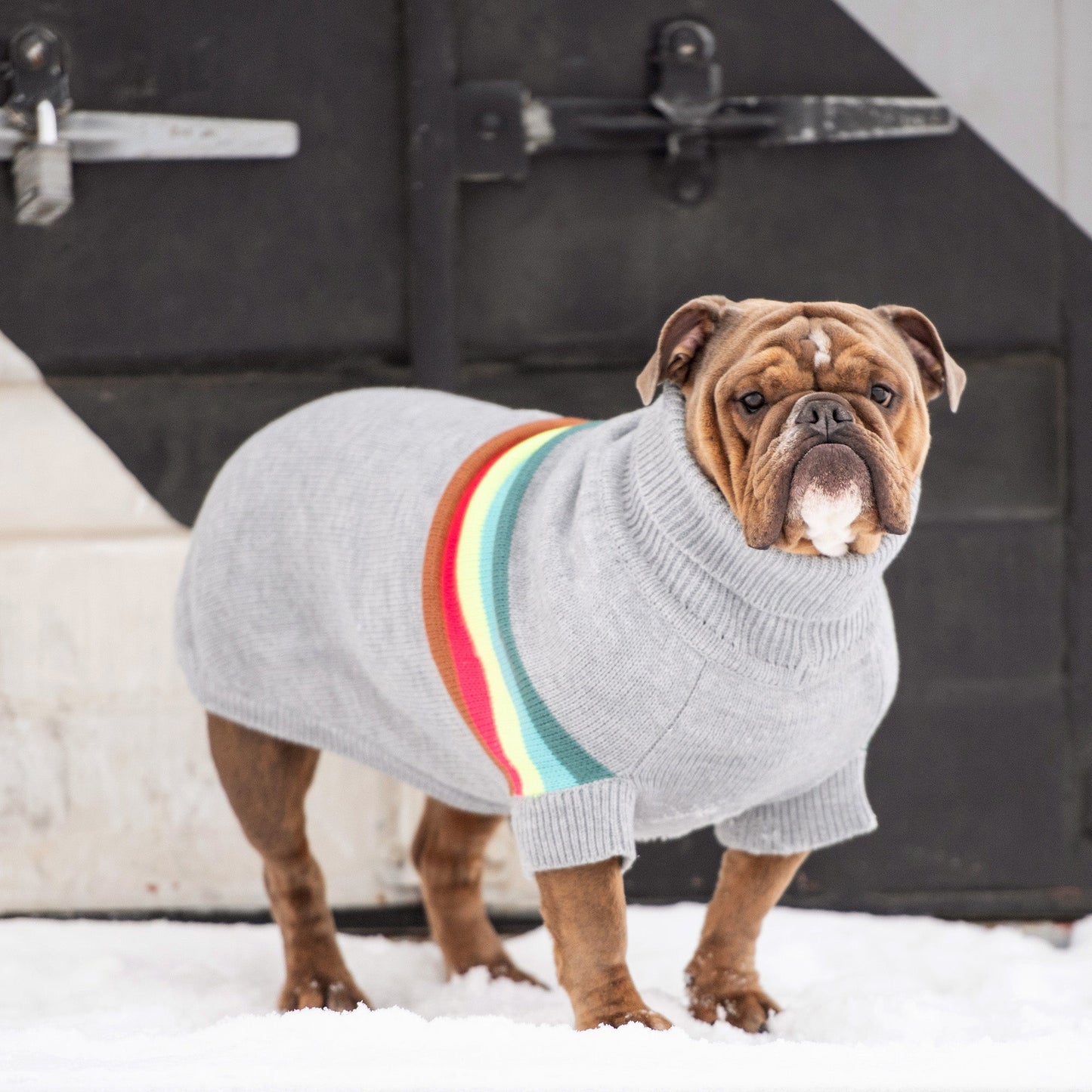 Retro Dog Sweater Grey