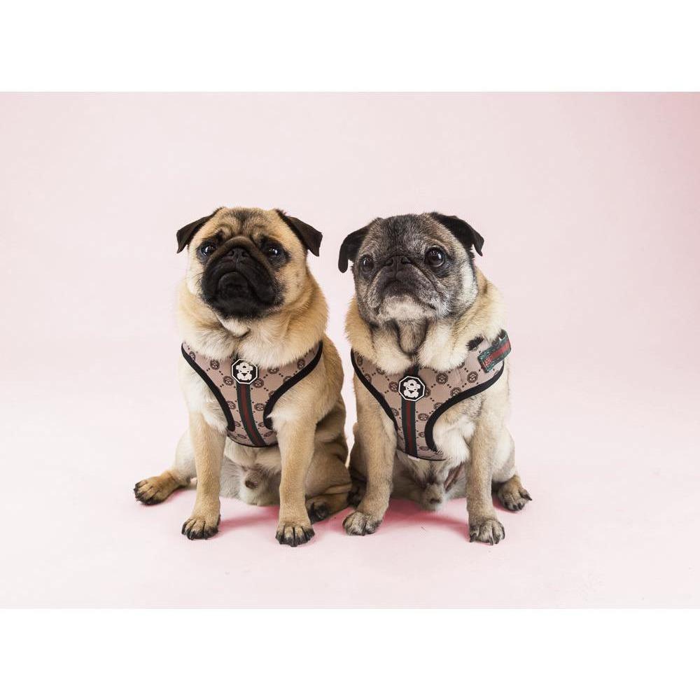 Adjustable Mesh Dog Harness