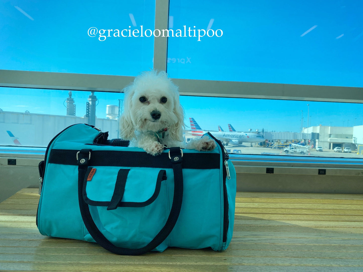Duffel Pet Carrier