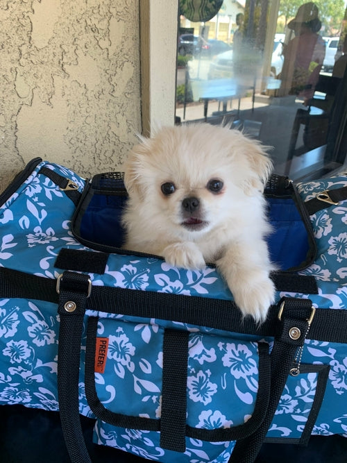 Duffel Pet Carrier