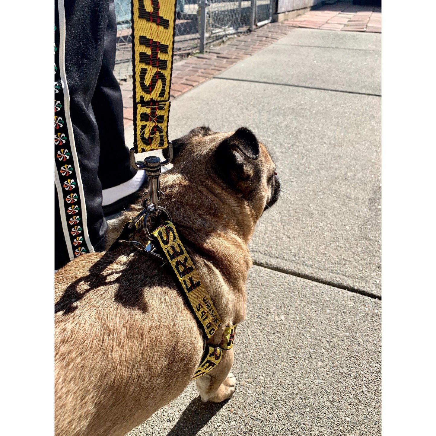 Industrial Belt Dog Harness