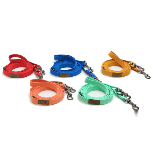 Folding Lead Dog Leash