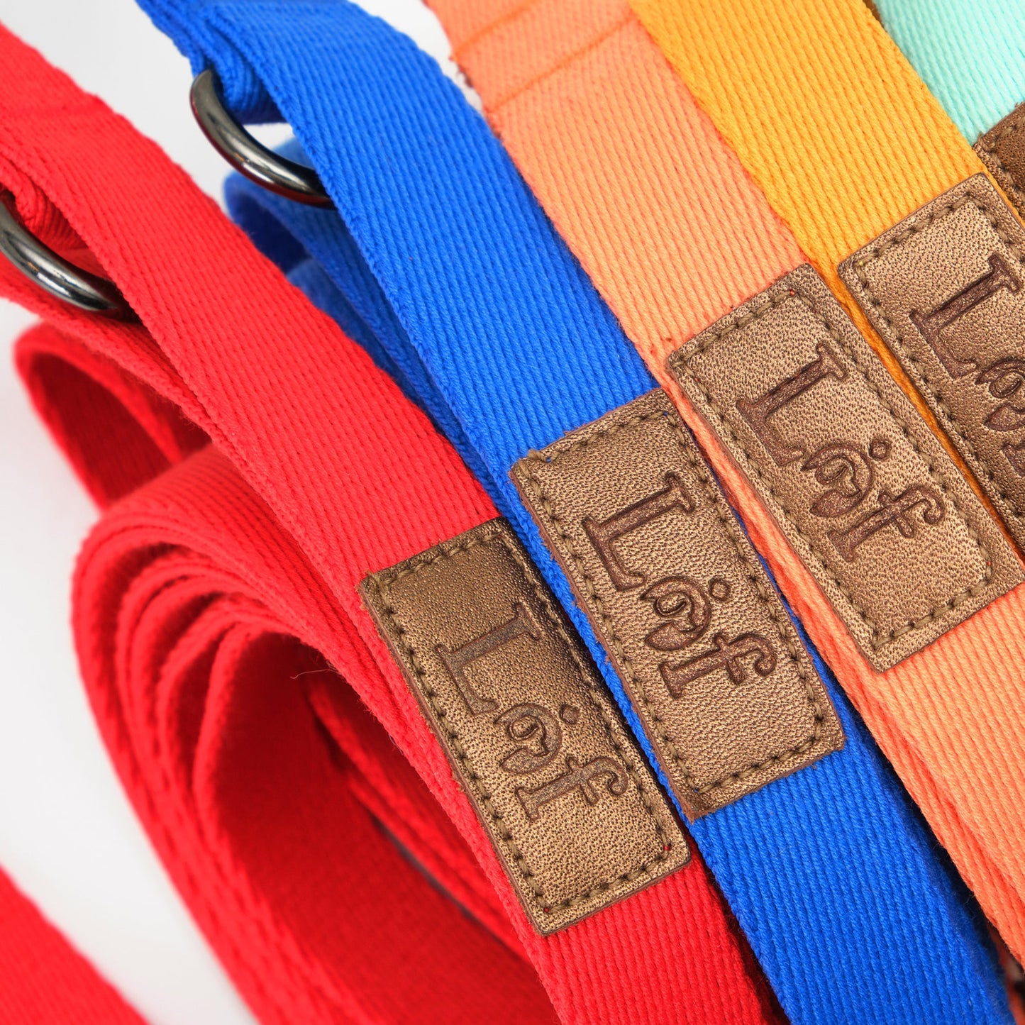 Folding Lead Dog Leash
