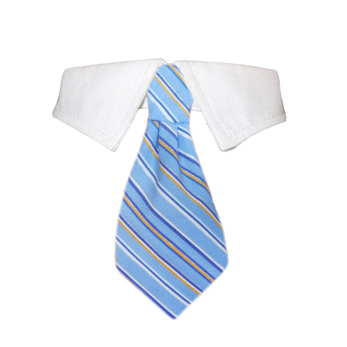 Kyle Shirt Dog Collar