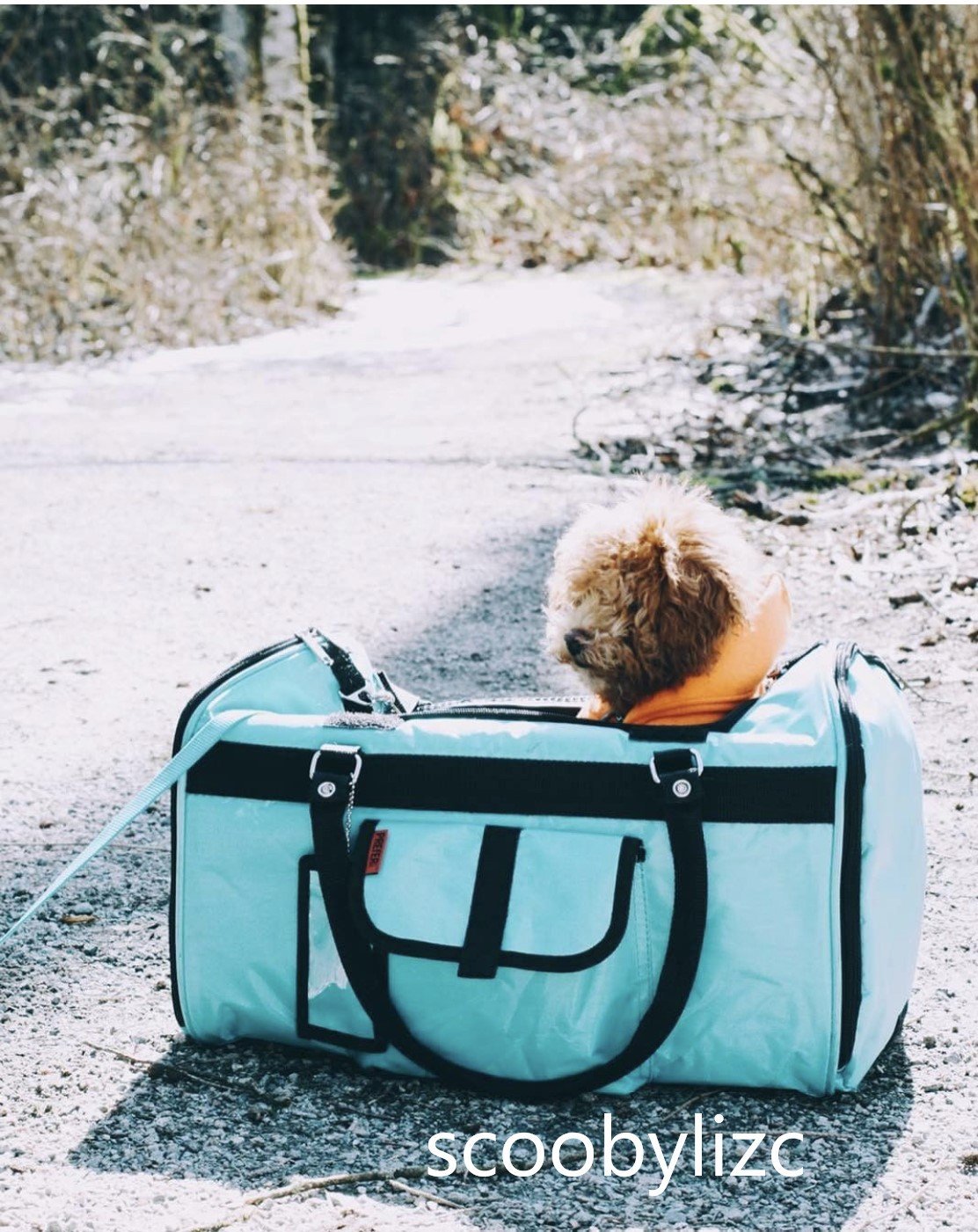 Duffel Pet Carrier