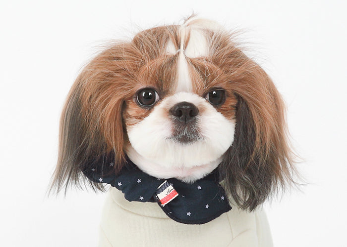 Navy Form Dog Scarf