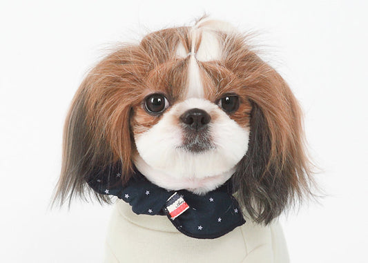 Navy Form Dog Scarf