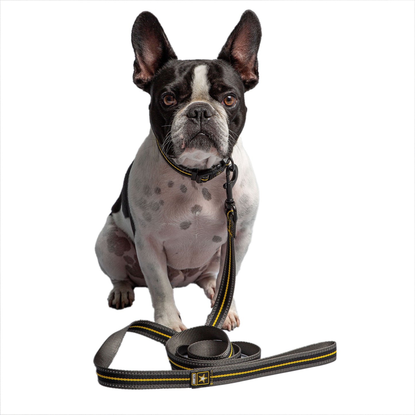 Dog Leash US Army