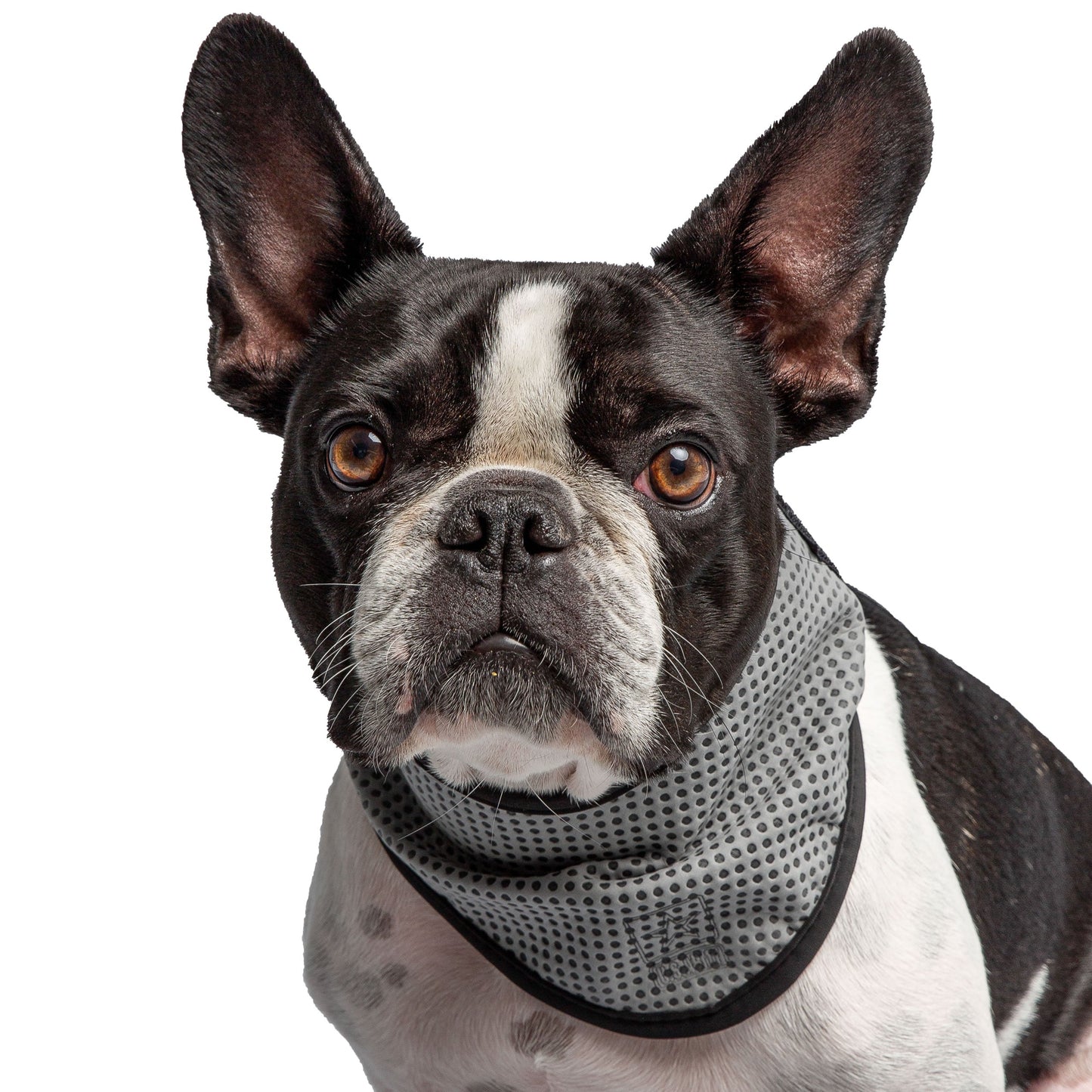 Dog Cooling Bandana US Army