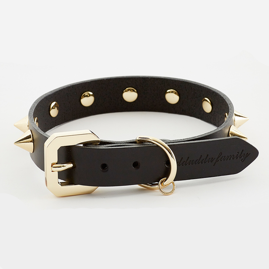 Golden Spike Dog Black Collar