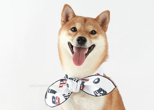 Alphabet Form Pet Scarf