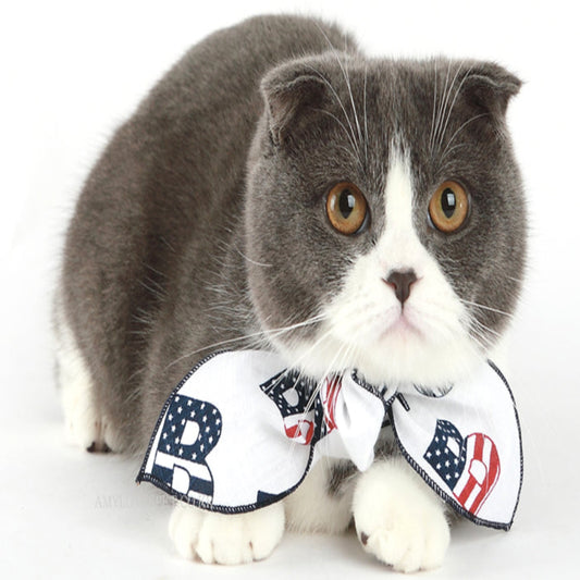 Alphabet Form Pet Scarf
