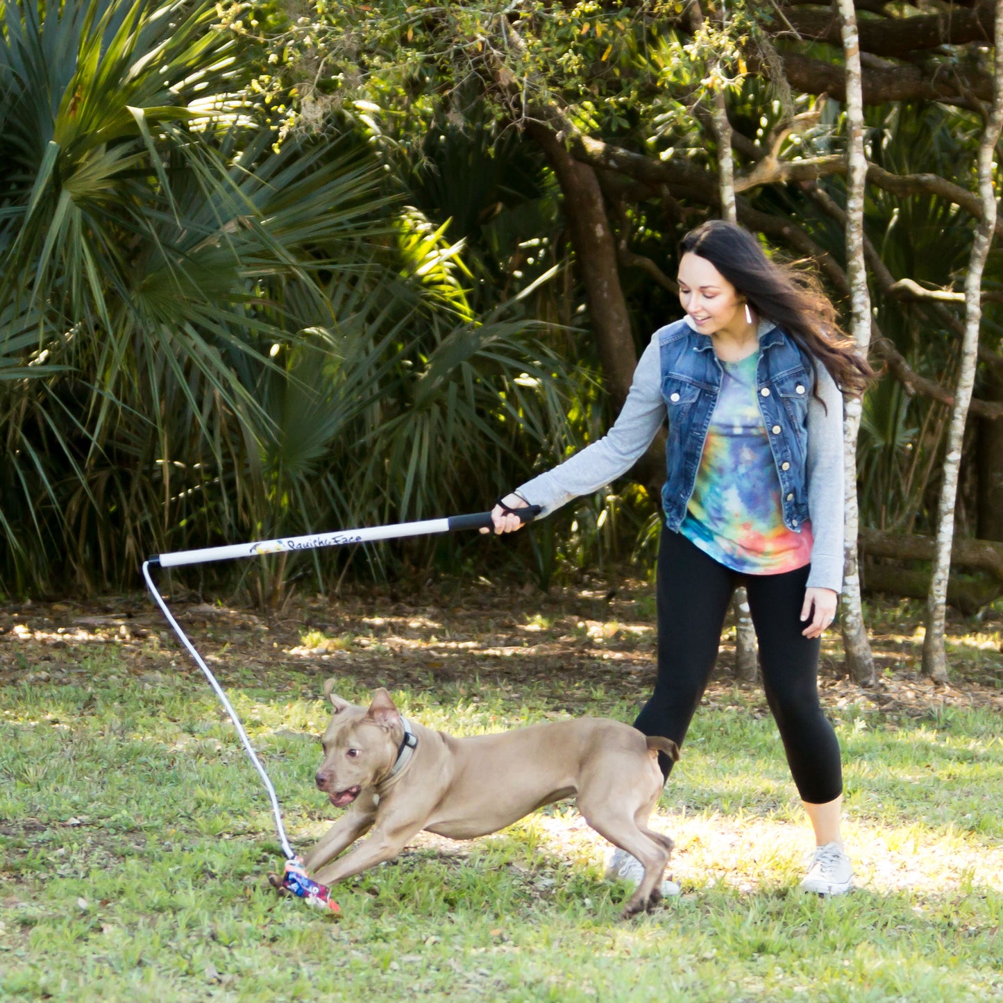 Pole V2 Dog Exercise & Training Toy