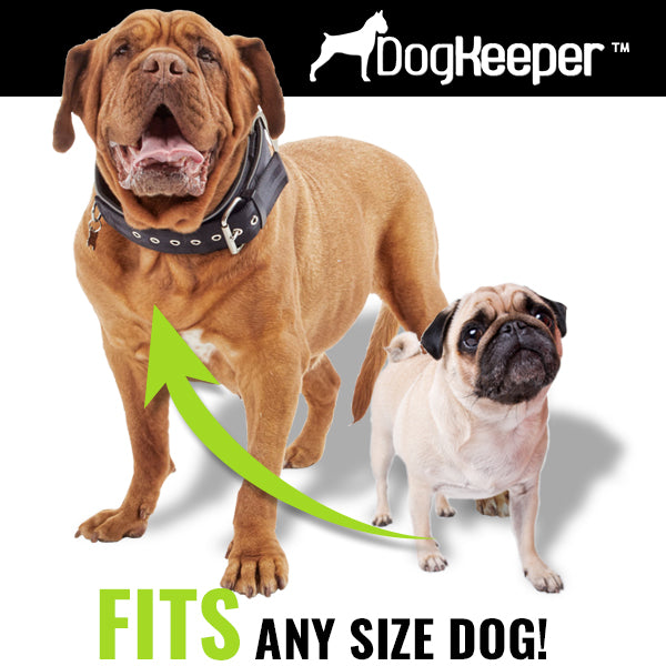 Dog Keeper