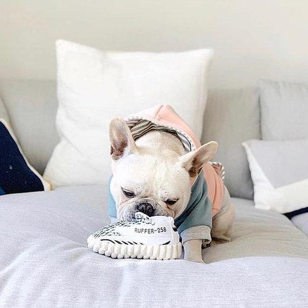 Sneaker Zebra Plush Dog Toy