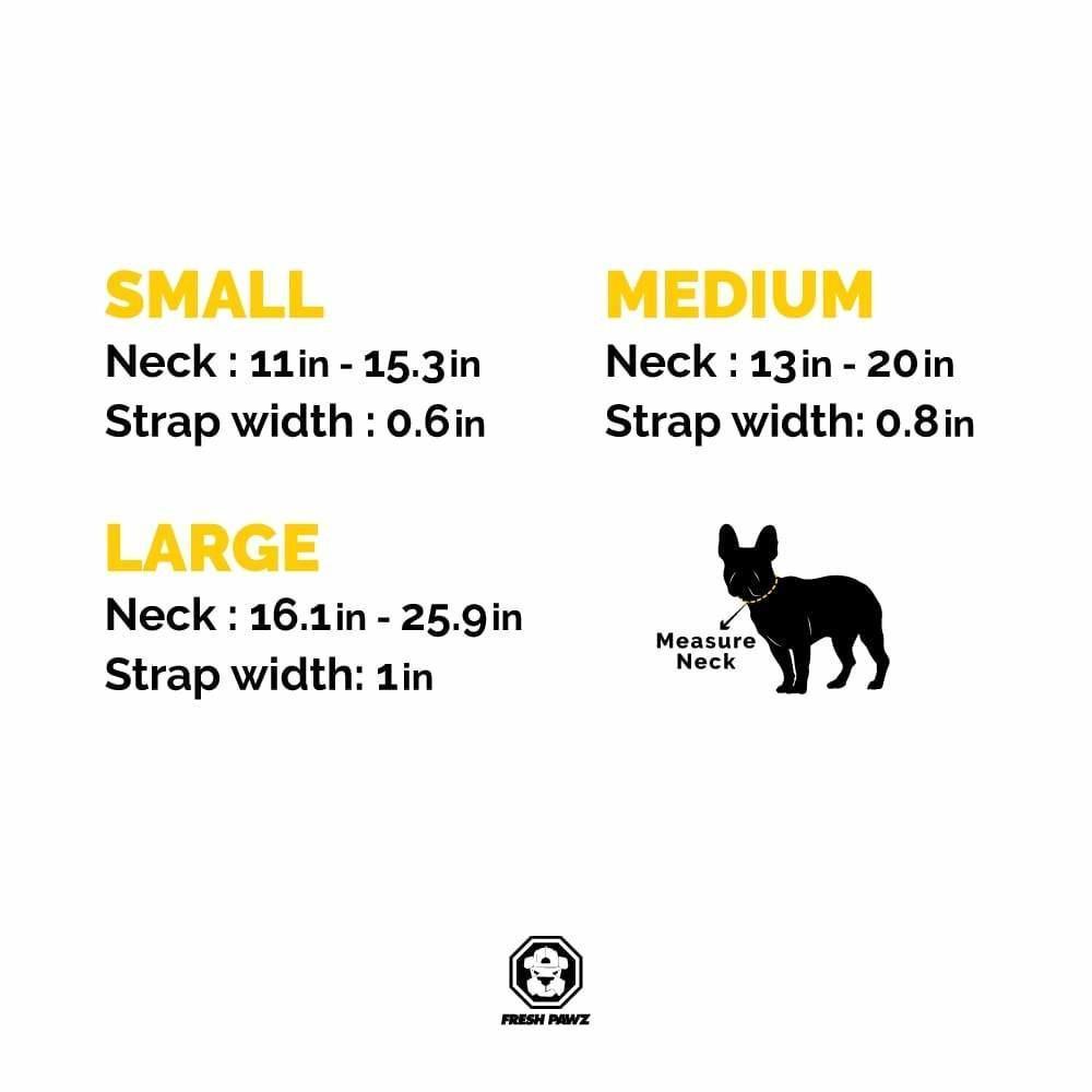 G-Stripe Dog Collar