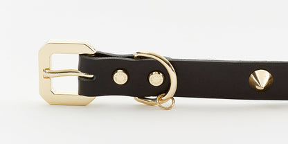 Golden Spike Dog Black Collar