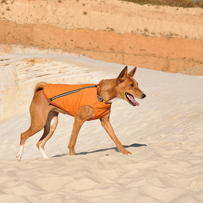 Eco Friendly Dog Jacket Vest