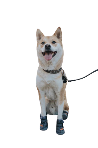 Beluga 544 Dog Shoes
