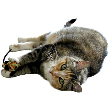 Set of 2 Catnip Mice Toy
