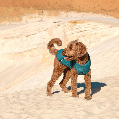 Eco Friendly Dog Jacket Vest
