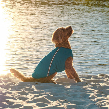 Eco Friendly Dog Jacket Vest