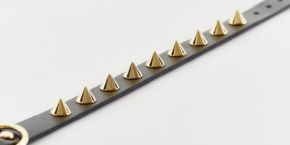 Golden Spike Dog Black Collar