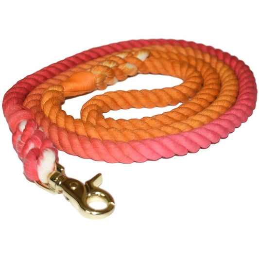 Sunkissed  Dog Leash