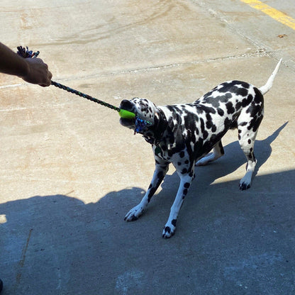 Knotty Upcycled Rope Dog Toys