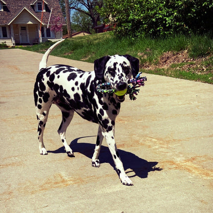 Knotty Upcycled Rope Dog Toys