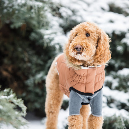 Urban Parka Dog Jacket Caramel