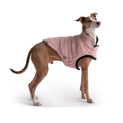 Reversible Chalet Dog Jacket