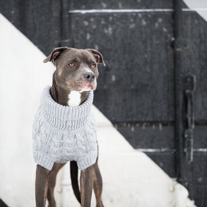 Chalet Dog Sweater Grey