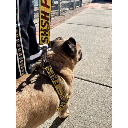 Industrial Belt Dog Harness