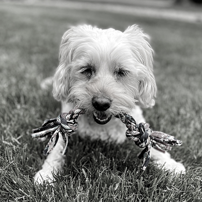 Knotty Upcycled Rope Dog Toys