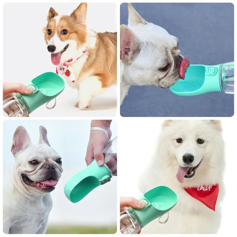 Pet-friendly Outdoor Dog Feeder: Ensures your canine companion enjoys meals outdoors comfortably and conveniently